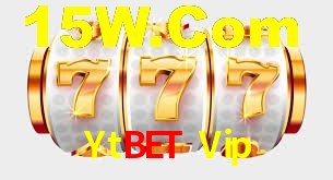 Explore as vantagens do Ytbet Vip: serviço profissional e confiabilidade